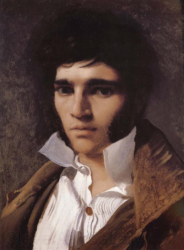 Jean-Auguste Dominique Ingres Portrait of Paul Norge oil painting art